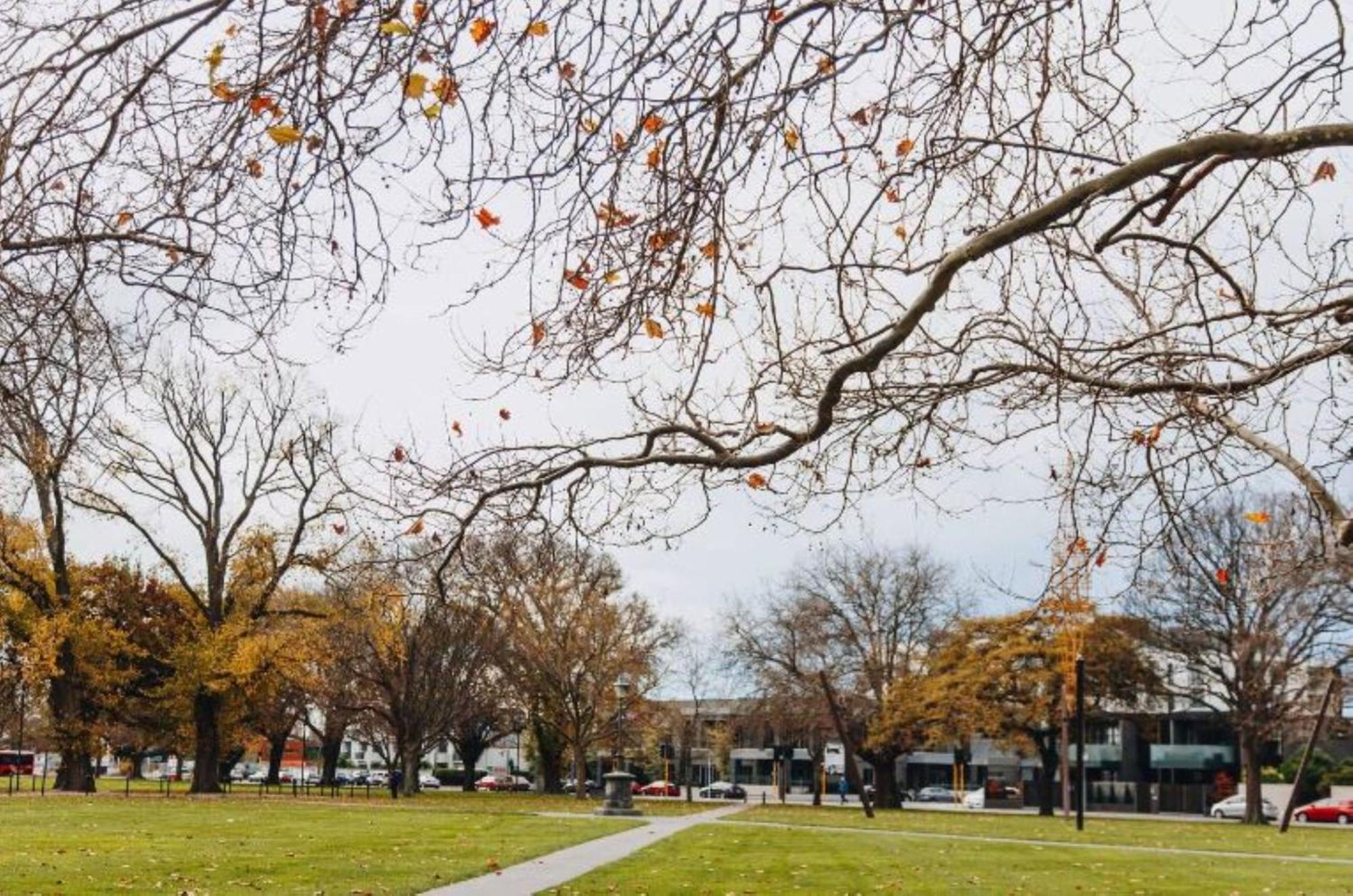 Inner City Delight Walk To Cathedral Square Christchurch Esterno foto